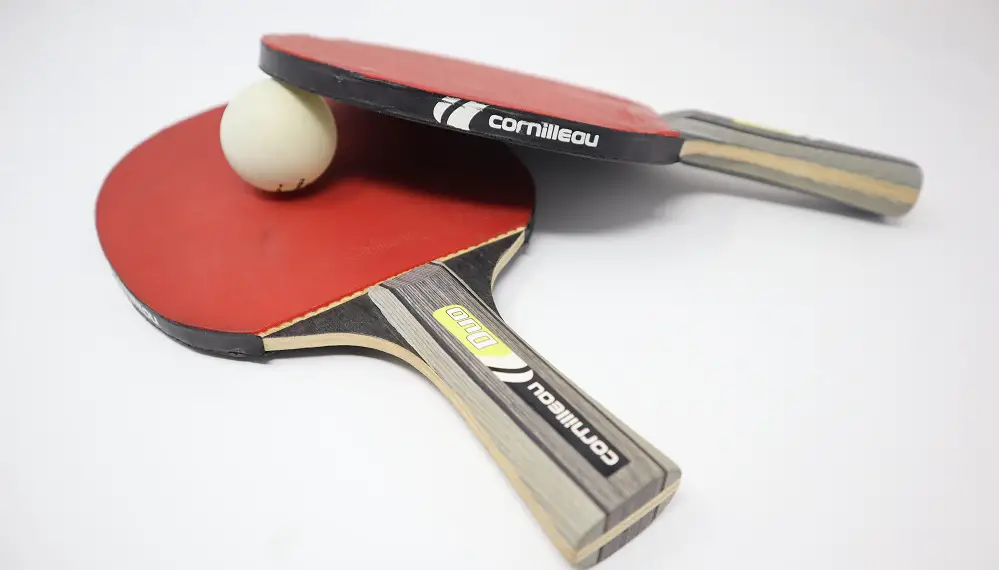 How to choose a table tennis paddle?